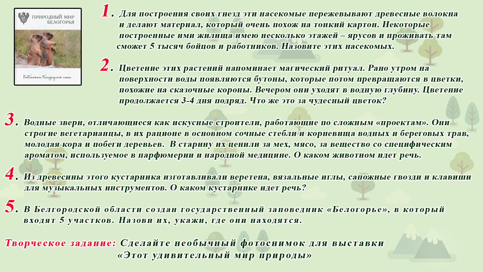 Фон